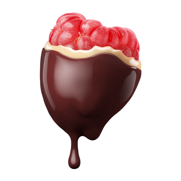 Raspberry Fruit Bites - Enlightened